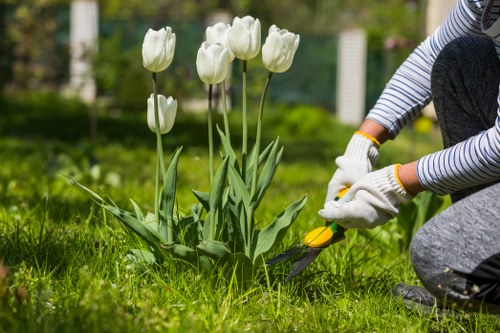 Landscape gardening design for a Turnpike Lane home garden