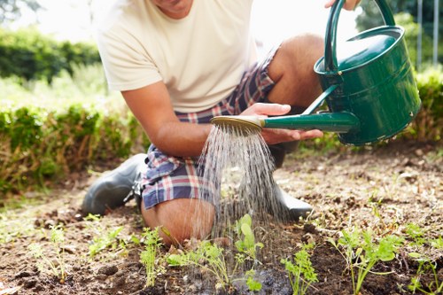 Professional gardeners in Turnpike Lane completing safe outdoor work