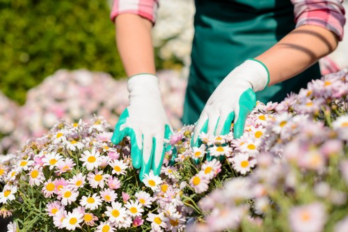 Local transfer station handling recyclable garden materials