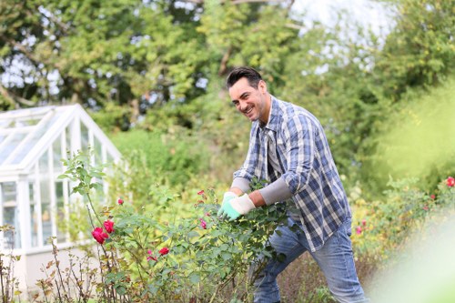 Local gardener maintaining a North London backyard