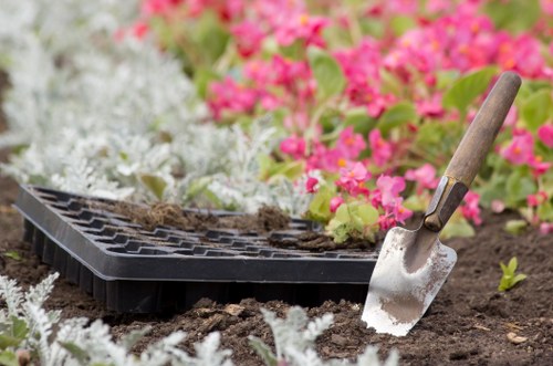 Local gardeners shaping healthy plants and tidy borders