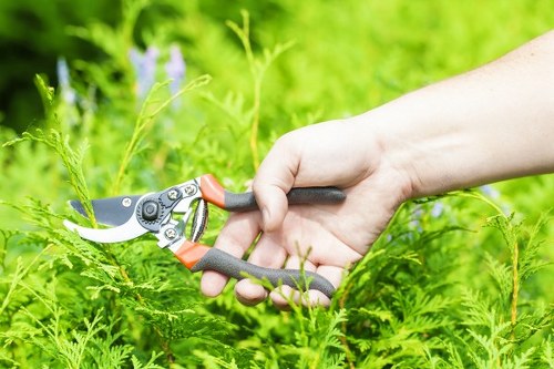Weed and patch repair work for lawn care in Turnpike Lane gardens