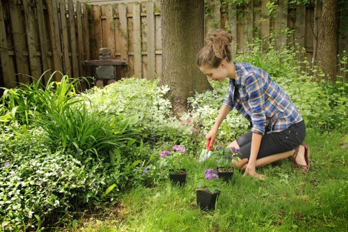 Tidy outdoor lawn space in Turnpike Lane after professional mowing