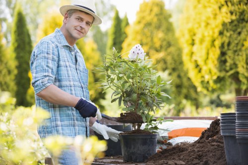 Garden hedge trimming service in Turnpike Lane