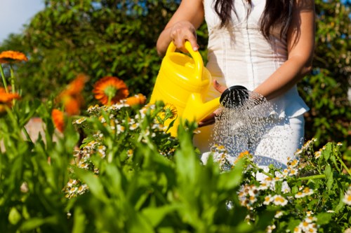 Professional patio cleaning removing moss and grime from paving