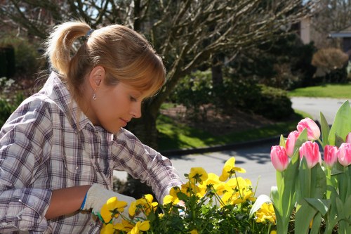 Professional garden care and seasonal maintenance in Turnpike Lane