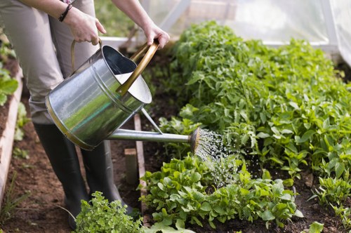 Supplier compliance and modern slavery risk review in horticultural services