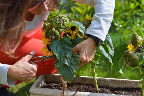 Professional landscaping services in Turnpike Lane for modern outdoor spaces