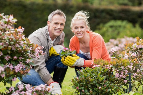 About Us Gardeners Turnpike Lane focused on beautiful outdoor spaces