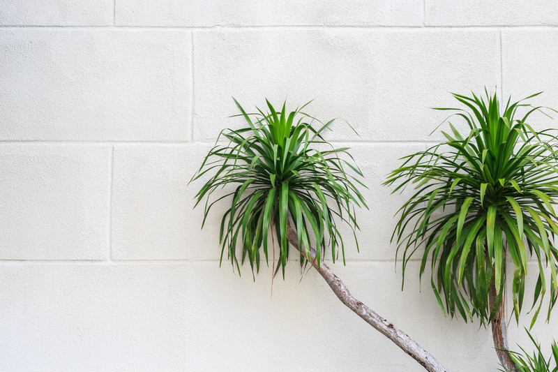 home trees