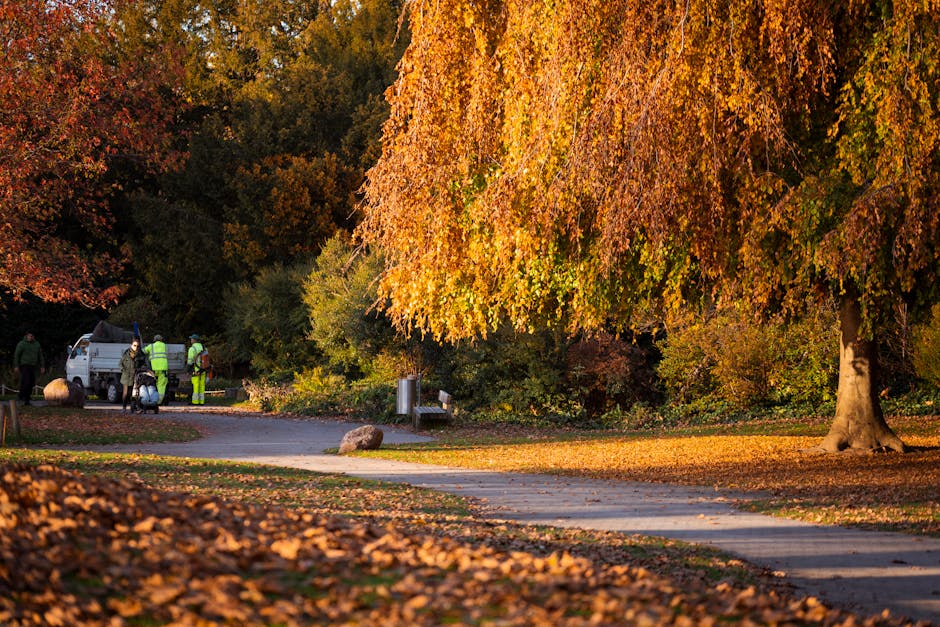 A park scene during autumn featuring a large deciduous tree with vibrant orange and yellow leaves hanging over a paved walking path. The ground along the path is scattered with fallen leaves, creating